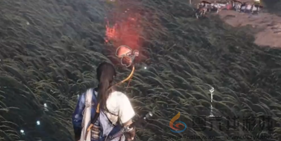 燕云十六声神仙渡蹊跷在哪(图8) 燕云十六声神仙渡蹊跷在哪(图8)