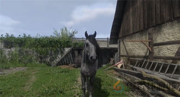 天国拯救2小灰马匹获取方法介绍说明(图5) 天国拯救2小灰马匹获取方法介绍说明(图5)